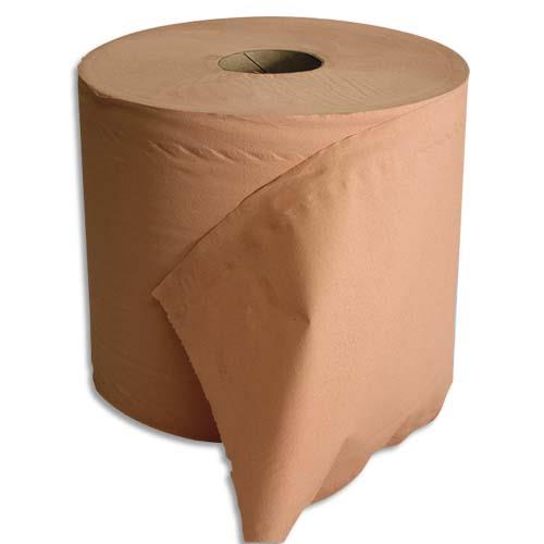 Lot de 2 Bobine d'essuyage 2 plis 1000 formats 30 x 21 cm - L300 m, bobine D25 cm chamois Eco C33605